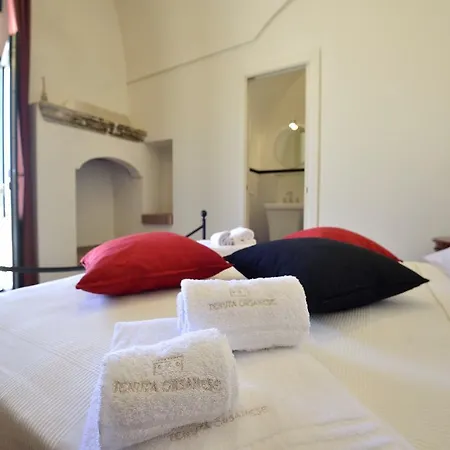 Tenuta Orsanese Hotel 3*